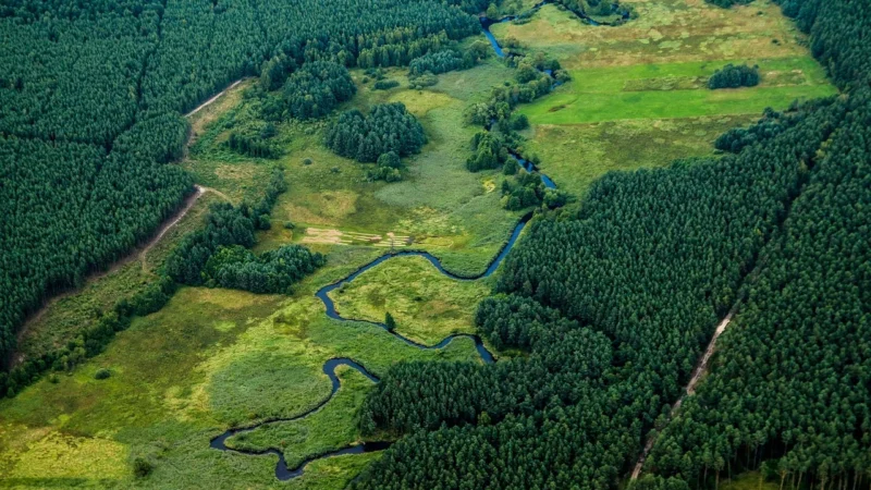 Recenzja Pogotowie Florystyczno Ślubne Wstążka Satynowa 3Mm 91Mb Zielona